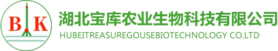 安捷利文化傳媒